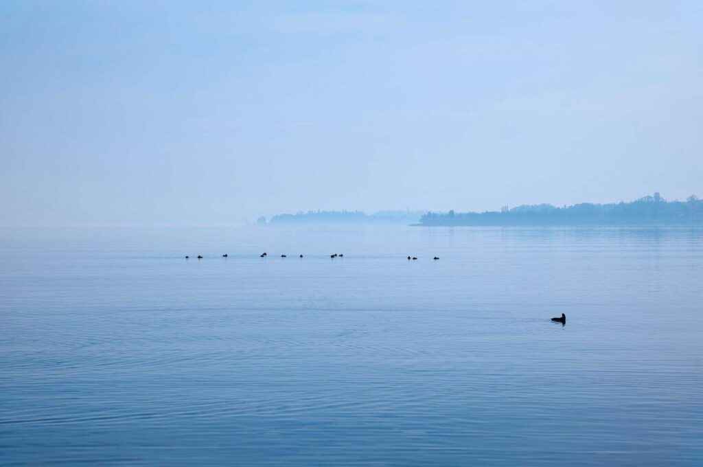 Ruhiger Bodensee bei Überlingen mit leichter Nebelstimmung, einzelne Enten schwimmen auf der glatten Wasseroberfläche, sanfte Blautöne dominieren die Szene.