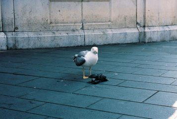 250701-R1-00554-0024